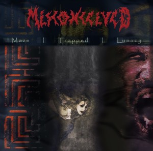 misconceived-maze-trapped-lunacy-300x297-cover-artwork misconceived-maze-trapped-lunacy-300x297-cover-artwork