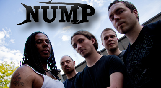 Profil-NUMP-band Profil-NUMP-band