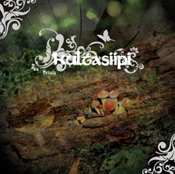 Kultasiipi-Metsola-Cover